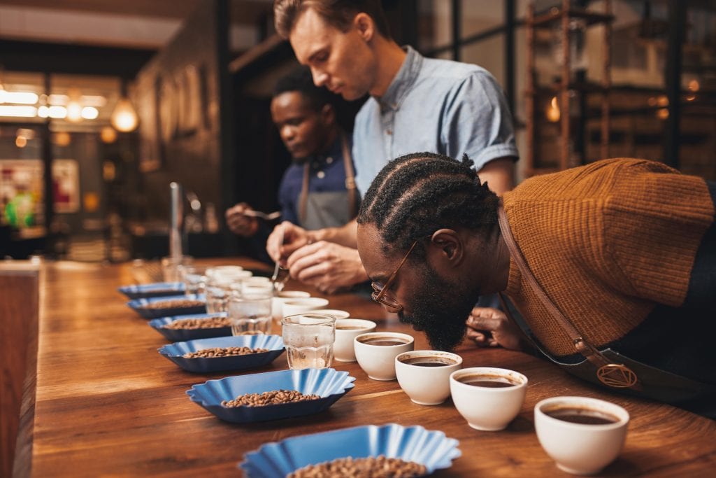 Blue Mountain Coffee Experience